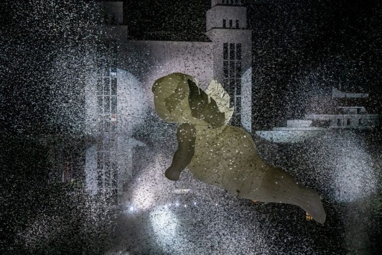 LesInvitesSamedi©ABoissot-67