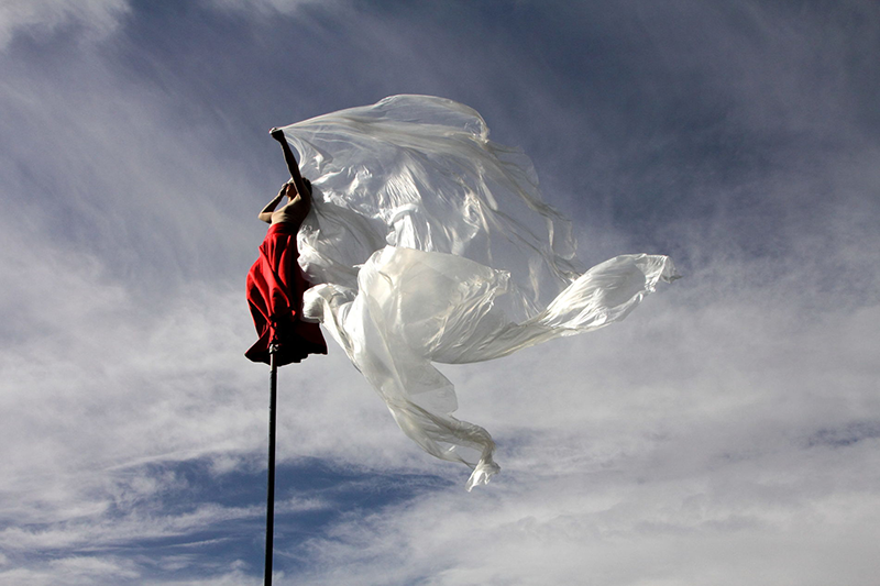 perchés à 6 mètres de haut, sur leurs mâts, des acrobates dodelinent au gré de la brise et dialoguent avec le paysage.